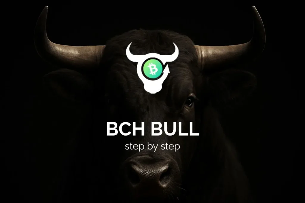 BCHBULL step by step guide portrait image